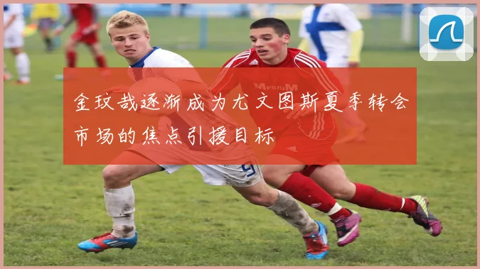 金玟哉逐渐成为尤文图斯夏季转会市场的焦点引援目标