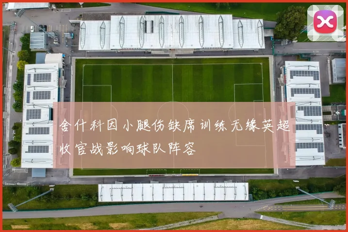舍什科因小腿伤缺席训练无缘英超收官战影响球队阵容