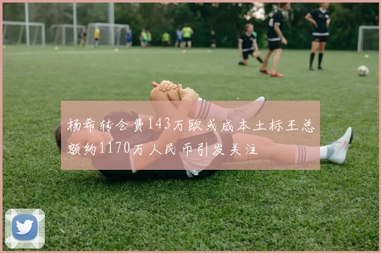 杨希转会费143万欧或成本土标王总额约1170万人民币引发关注